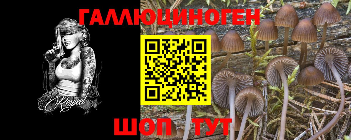 Галлюциногенные грибы мухоморы Среднеуральск