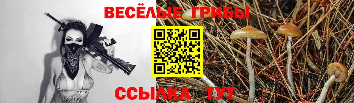 Псилоцибиновые грибы прущие грибы  Вход с VPN  Среднеуральск  Галлюциногенные грибы GOLDEN TEACHER 